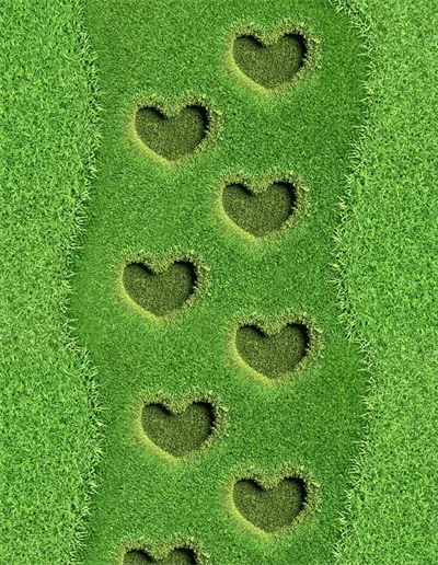 Креативный большой ковер зеленый цветок 3D печать коврики для прихожей для гостиной спальни коврики Противоскользящие коврики для кухни - Цвет: 3D219