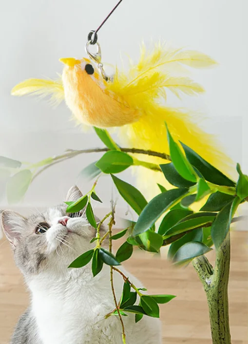 

usd2.3/pc bird feather spring cat filler teaser fishing rod cat playing toy 20pcs/lot