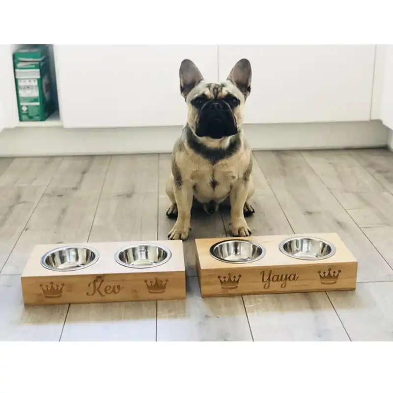 personalized dog feeding station