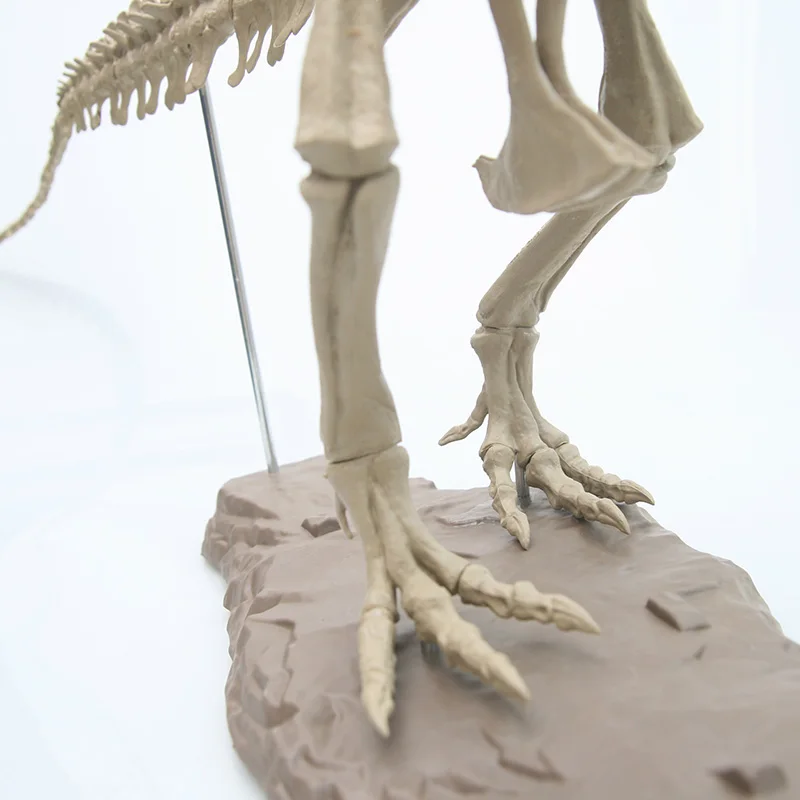 Large Assembly Dinosaur Fossil Puzzle Child Model Toy Tyrannosaurus Skeleton Teaching Courseware Holloween Party Decor Accessory