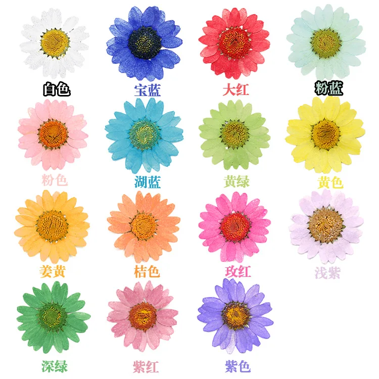Daisy Flower Plants for Epoxy Resin Jewelry Making 12 Pcs dried flower bouquets,artificial flower,artificial flowers