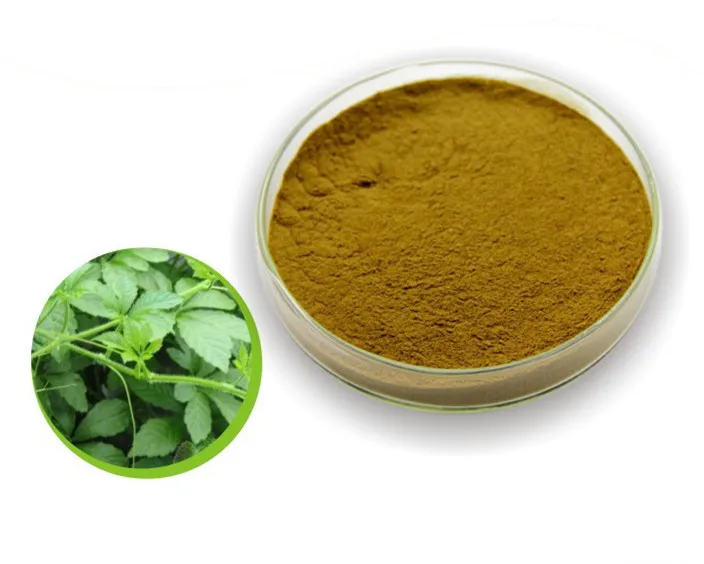 

Gynostemma Extract Powder - Potent 20% Extract Powder Gynostemma P.E for Anti-cancer,anti-aging effect
