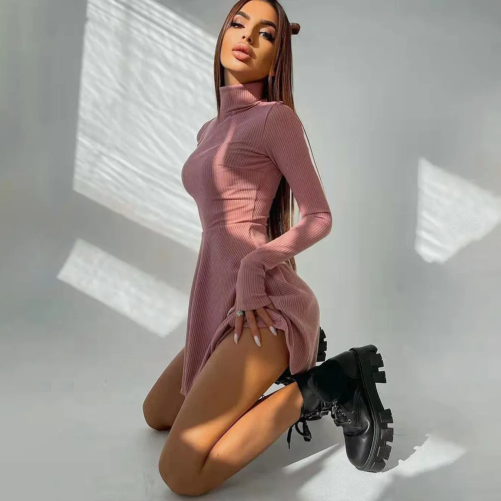 BoozRey Elegant Solid Dress for Women Long Sleeve Knitted Bottoming A-line Pleated Skirt Casual Streetwear Turtleneck Dress Girl