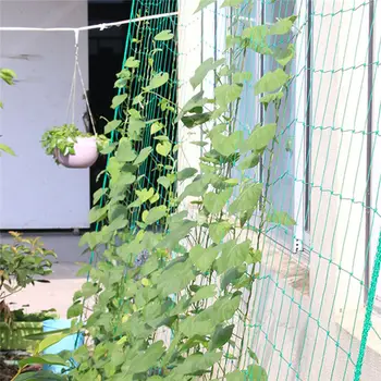 

Nylon Flowers Trellis Netting Plant Wall Climbing Support Artificial Grow Fence Net For Planting Nets Garden Tools