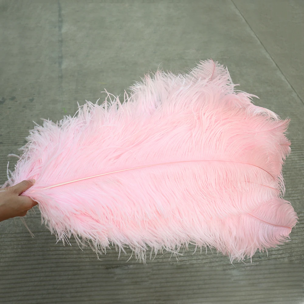 TS0165024 65-70cm ostrich feathers 2
