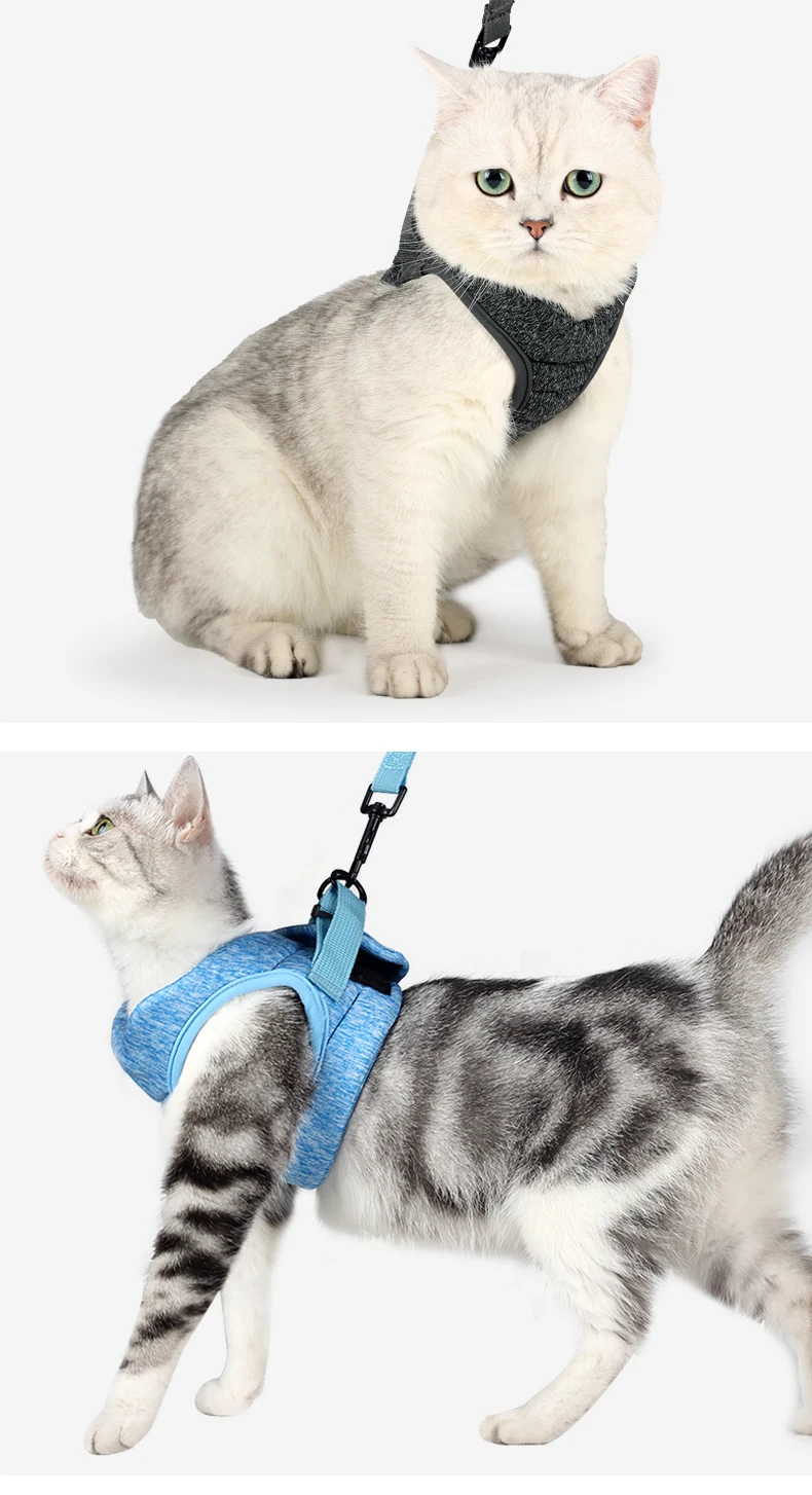 猫背带_10