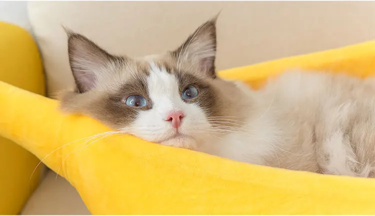 12709943269_2079131725