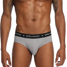 Men's Sexy Underwear Briefs Hot Stripe Print Underpants High Quality Transparent Elephant nose Shorts ropa interior hombre 2019