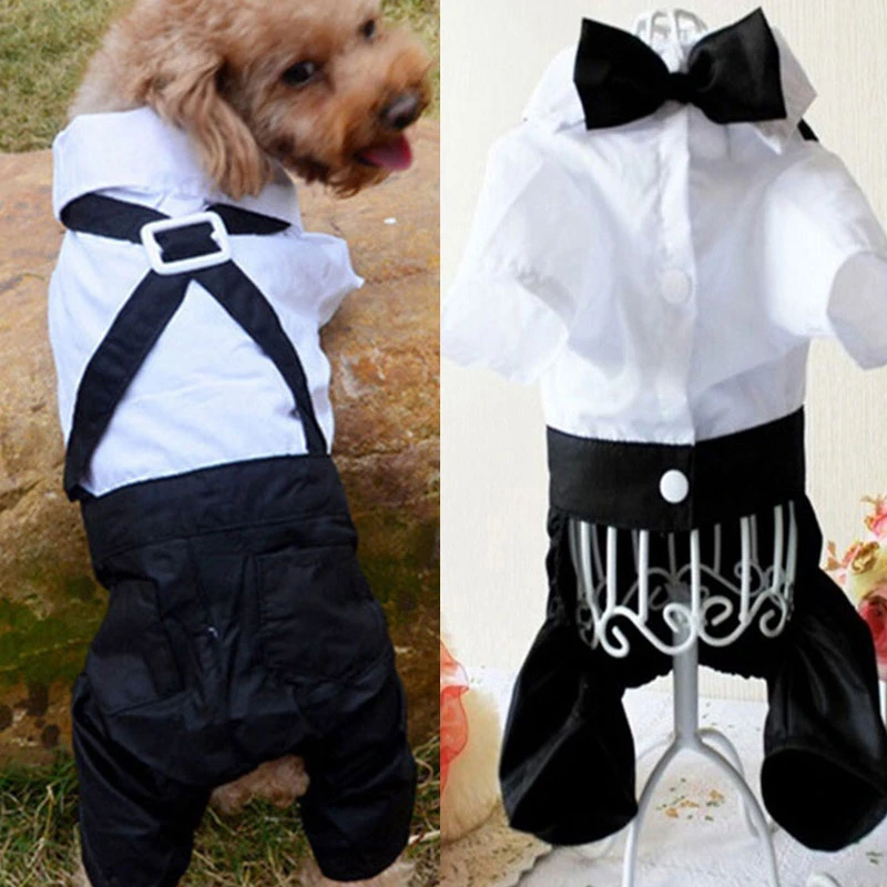 de caballero para perro, traje de boda, camisa Formal para perros pequeños, esmoquin con pajarita, traje para mascotas, disfraz de Halloween y Navidad para gatos|Monos y mamelucos| - AliExpress