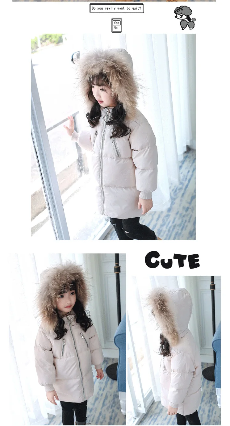 9567771361_1439383058