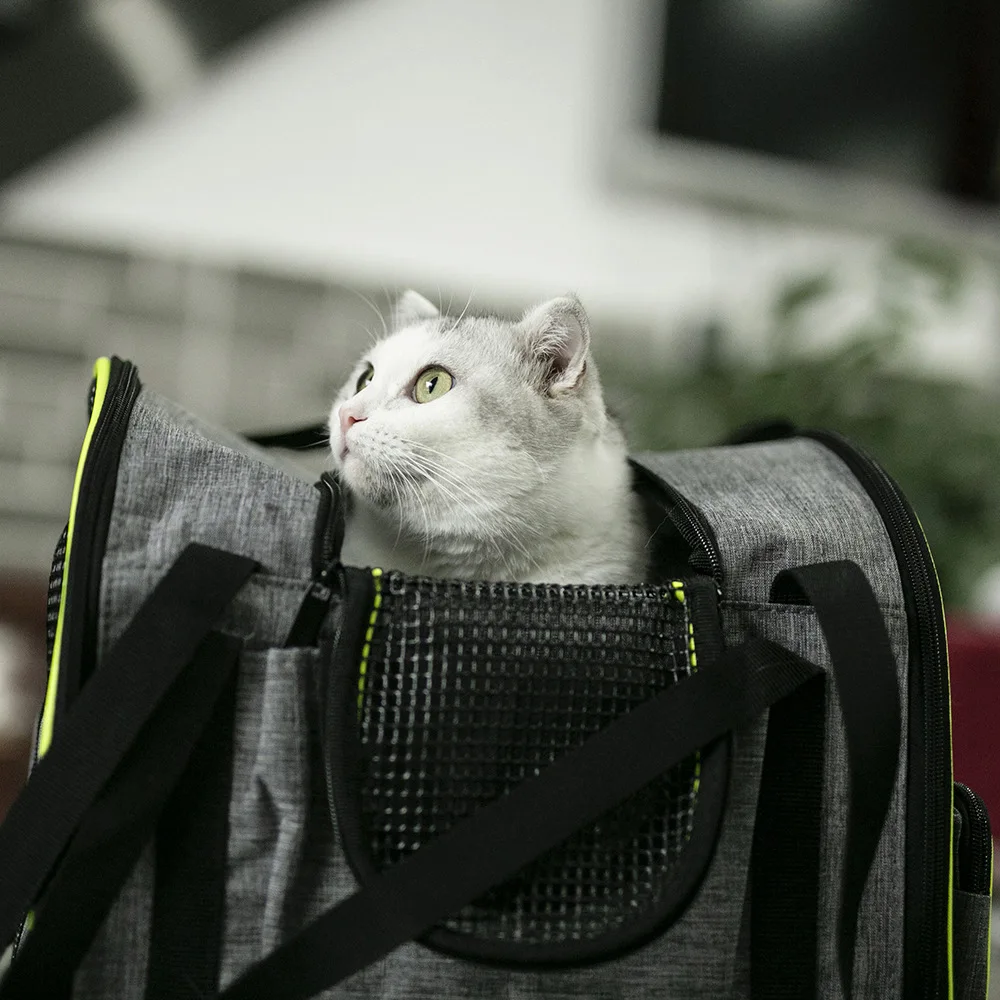 Title 15, Pet Carrier Airline Approved Soft Sided Carrier...