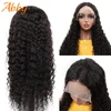 Lace Wigs