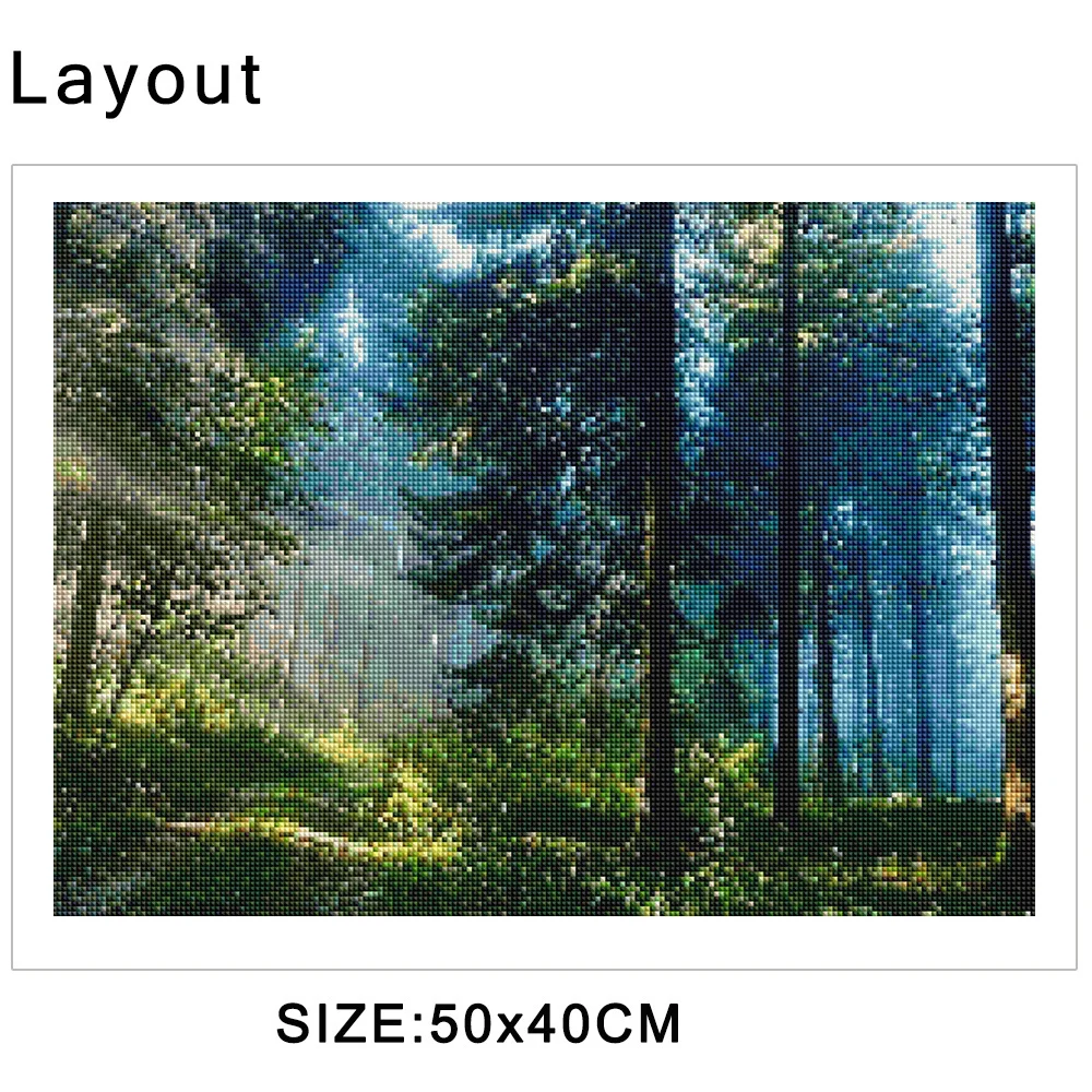 13 (1).jpg_.webp 13 (1).jpg_.webp