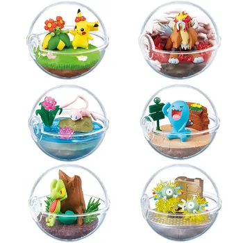 

6Box/Set Transparent Terrarium Ball Wobbuffet Entei Magnemite Bellossom Action Figure Toys pkm Decoration Kids Gifts
