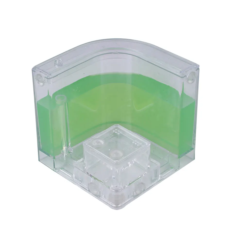 Ant Castle House Colorful Terrarium Pet Educational Toy With Magnifying Glass
