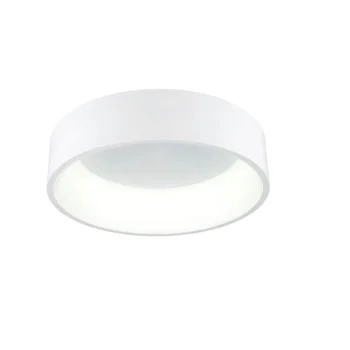 

CEILING LAMP LED CIRCLE WHITE 42 W.
