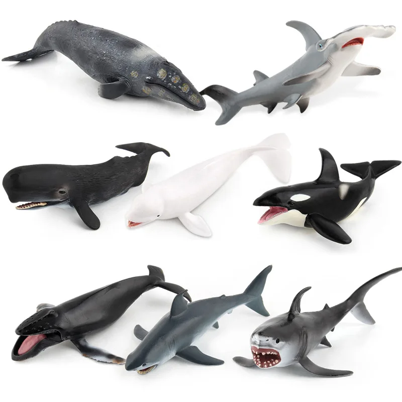 10282096940_920392923