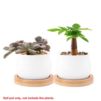 

2/4/6PCS Mini Glazed Geometric Bonsai Planter Desktop Porcelain Flower Pot White Ceramic Succulent Plant Pot Home Decor