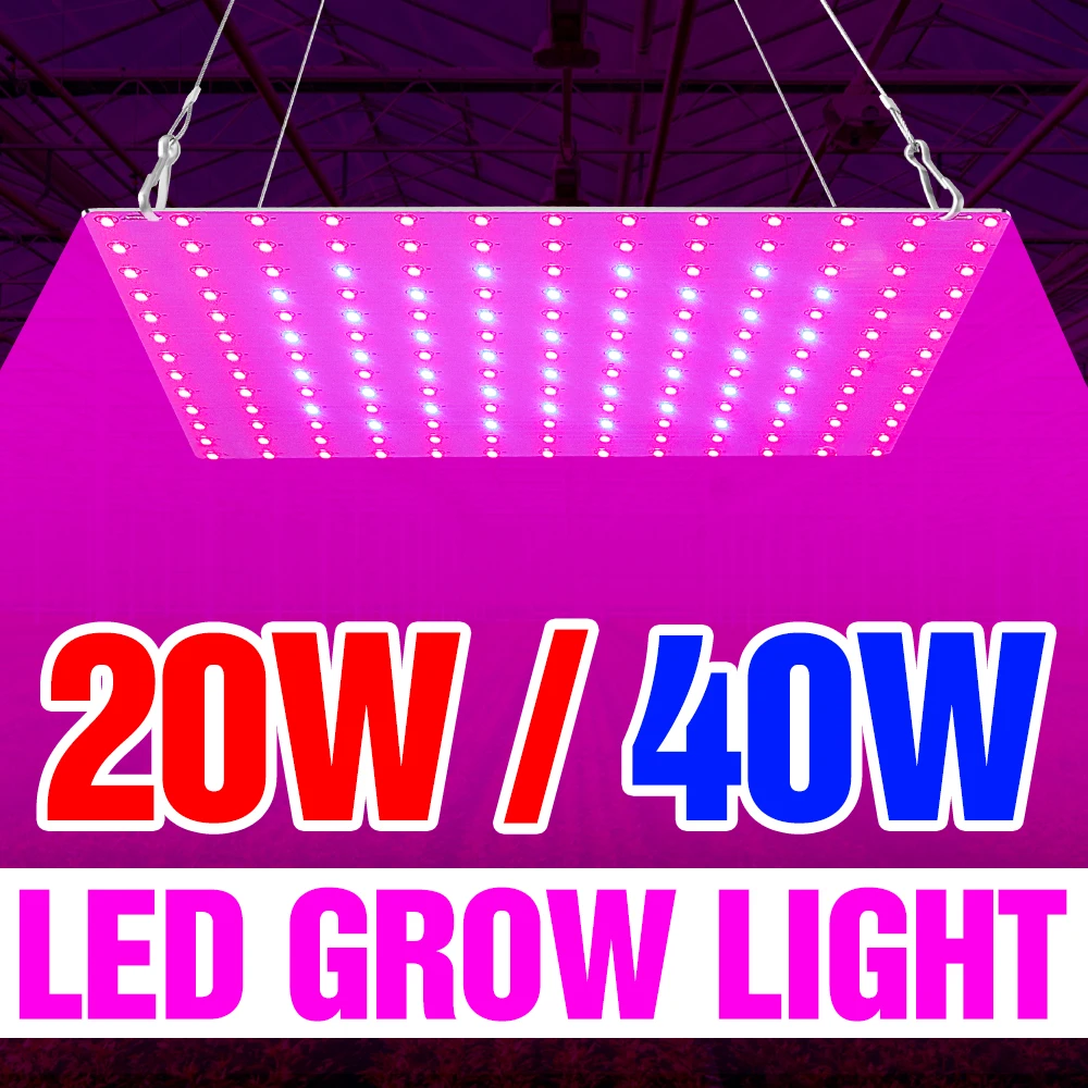 

EU US UK Plug Phyto Light LED Full Spectrum Seedling Fito Light 20W 40W Vegetables Plant Grow Tent LED Greenhouse Seed Lampara