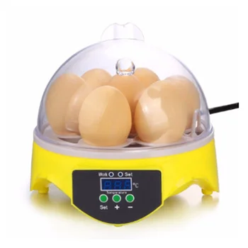 

Best 220V 110V Poultry Hatchery Machine Hatching 7 Mini Brooder Small Chicken Bird Egg Hatchers Incubator for Quail Parrot Duck