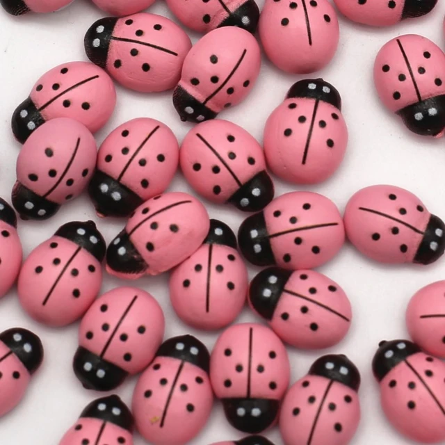 Pink Ladybug Decorations