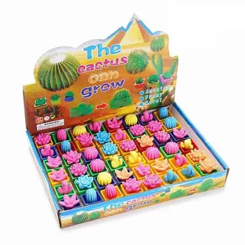 

5Pcs Growing In Water Flower Cactuse Bonsai Expansion Plant Toy Magic Toys For Children The Cactus Can Grow Toys Educational Toy