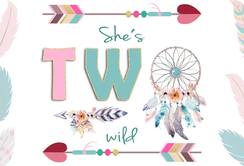 7x5FT Bohemia Dream Catcher Wild One color стрела с пером на заказ Фотостудия фоны Виниловые 220 см x 150 см
