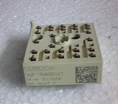 Skp13nab065v1