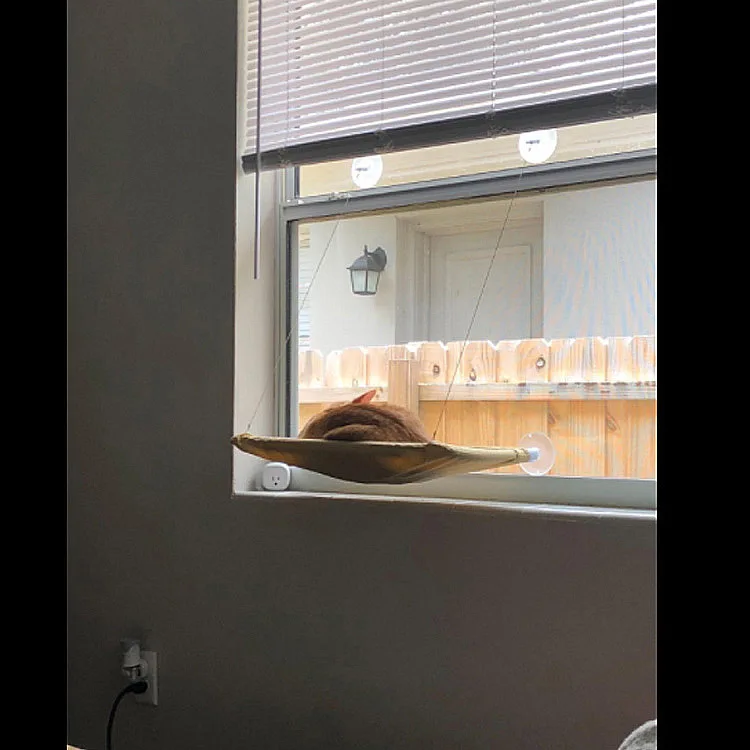 Title 12, Suction Cups Cat Bed Cat Window Hammock Comfort...
