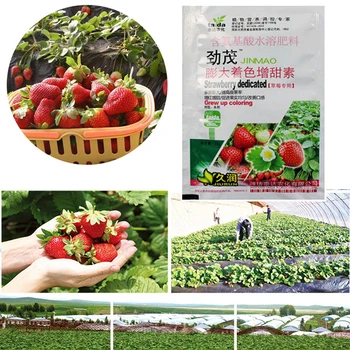 

Rapid Rooting Strawberry Fertilizer Supplemental Plant Nutrition Expanded Fruit