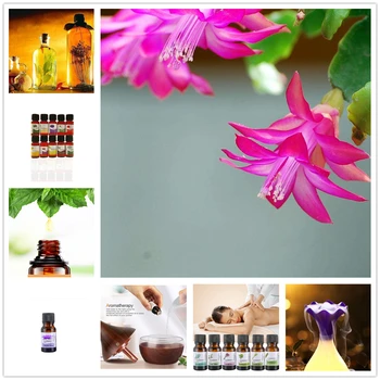 

Essential Oil Pure Natural 10ML Pure Essential Oils Aromatherapy Diffusers Oil Relieve Stress Mint Air Fresh Mimosa Aroma Oil