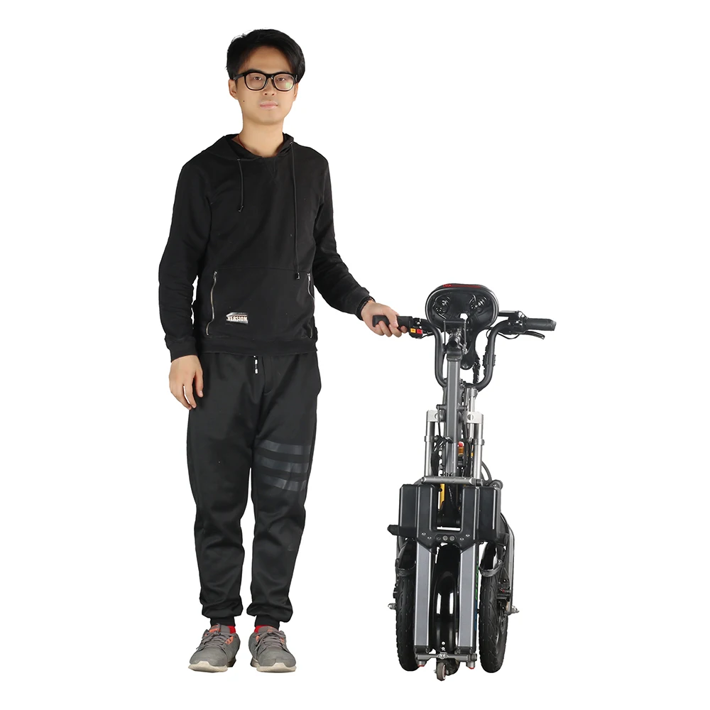 E6-7 чудесный EcoRider 250 Вт Электрический Citycoco 48 в 10 дюймов электрический мотоцикл велосипед для молодежи подарок на день рождения Молодежная игрушка посуда