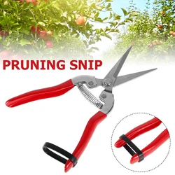 Sécateur à main pour le jardinage, cisailles de taille à micro pointes, coupe feuilles, ciseaux de fleuriste droits pour plantes, outil de jardin 