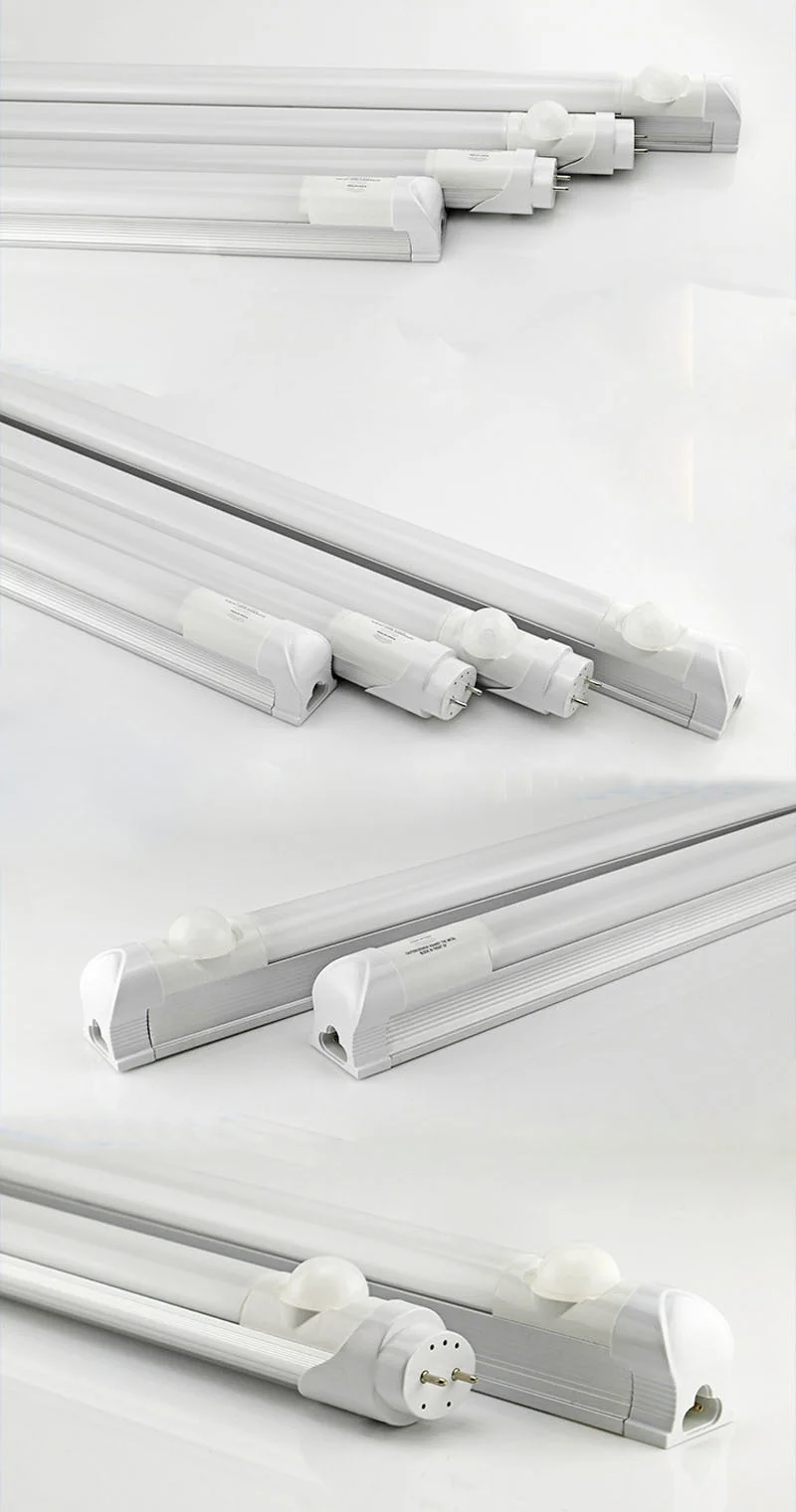 3369273294_1668786367