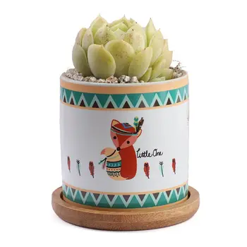 

Ceramic Succulent Planter, Cactus Plant Pot with Beautiful Pattern, Cute Pot wi