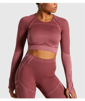 

Women Seamless Sports Suits Fitness Sportswear Set Gym Workout Clothing Long Sleeve Crop Top Shirts High Waist Leggings Pants