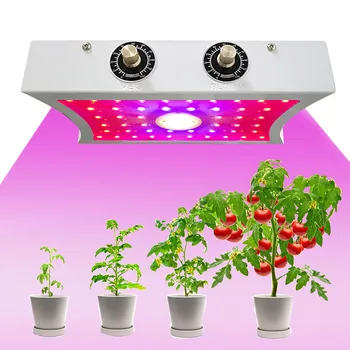 

LED Grow Light Plant Grow Lamp for Indoor Plants Seedling Blooming Fruiting 1000W/ 1200W HKS99