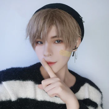 

AILIADE Short Wigs Straight Mixed Blonde Brown Wig Synthetic Heat Resistant Cosplay Lolita Anime Daily for Afro Women Men