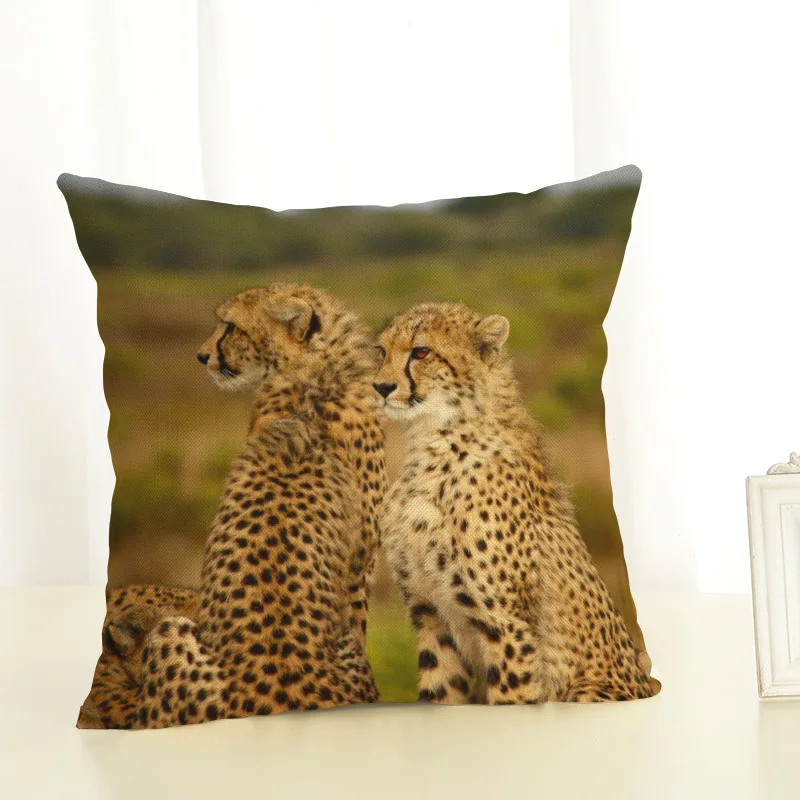 8823445749_1255064235