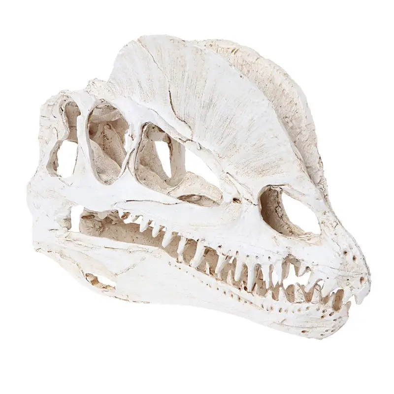 Dilophosaurus череп динозавра смолы ремесла Fossil обучение скелету модель Хэллоуин украшения дома офиса