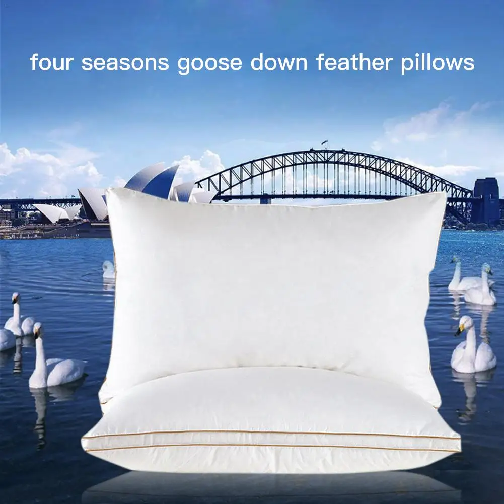 hypoallergenic feather pillows