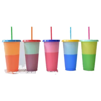

5PCS Reusable Color Changing Cold Cups Summer Magic Plastic Coffee Mugs Water Bottles With Straws Set For Family Friends Cup