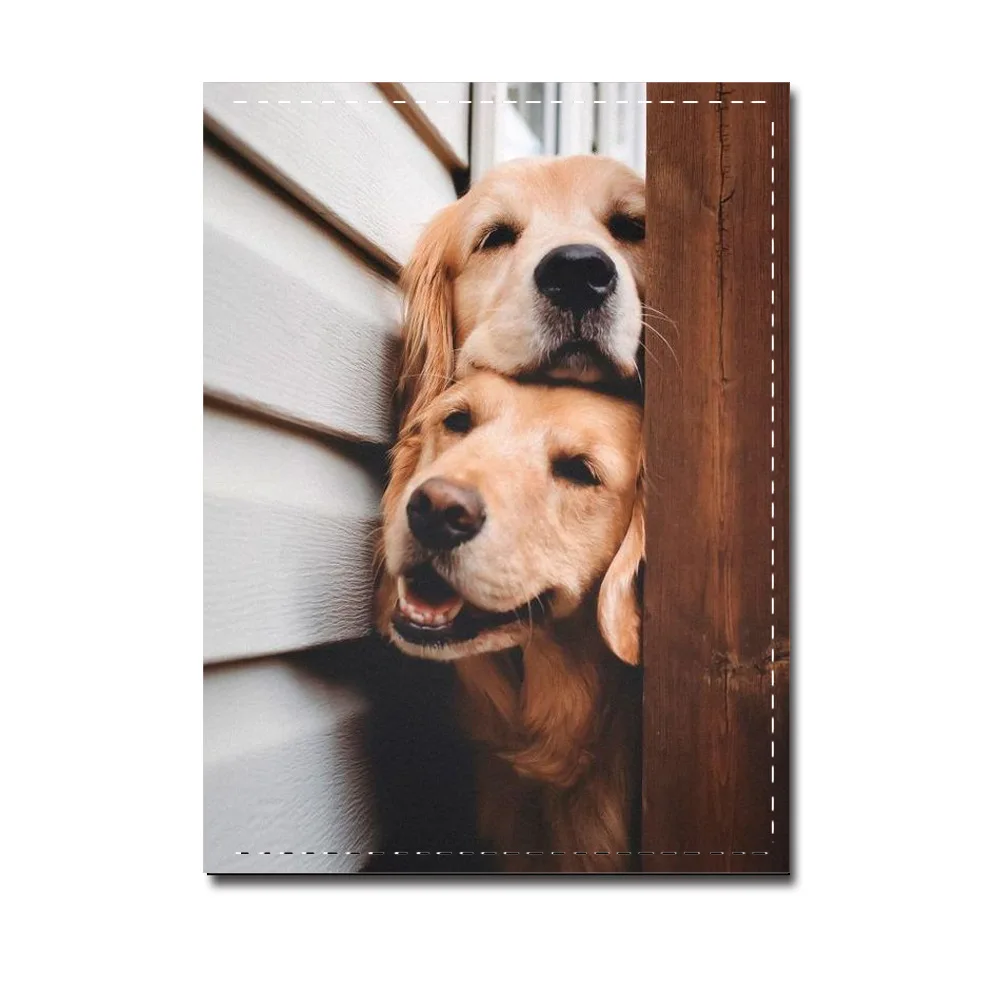 Рисунок 6 - Новинка, Обложка для паспорта с рисунком животных