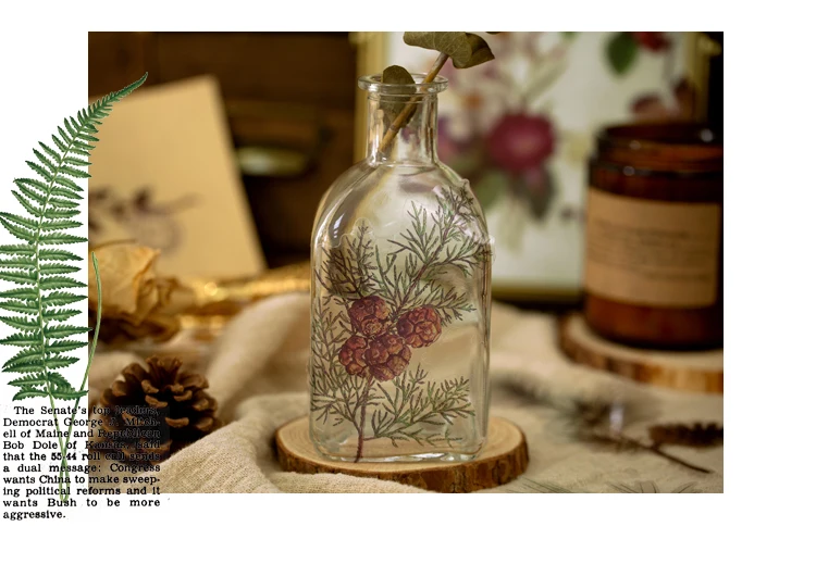 植物研究所贴纸包_14