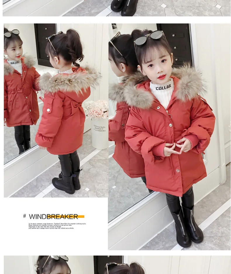 11694359731_847570584