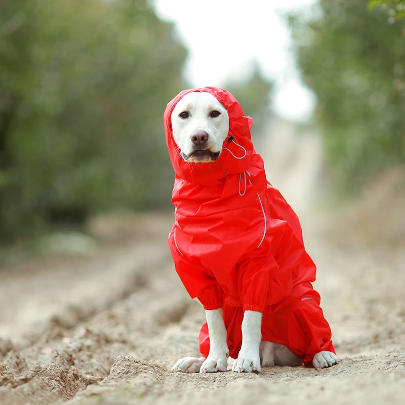 capas de chuva para cães