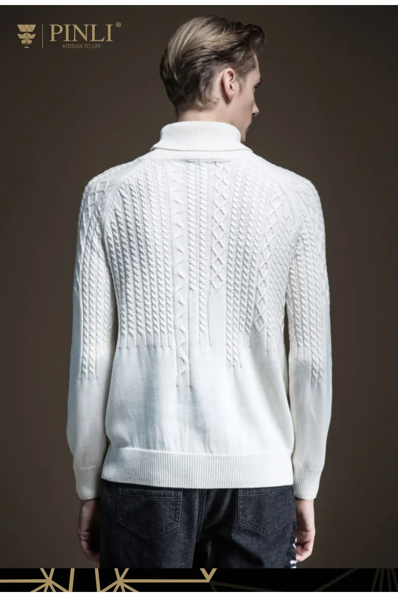 Eden Park однотонные Длинные мужские s Time-limited Pinli осень мужской жаккардовый трикотаж с высоким воротником корректирующий свитер Tide B193410246