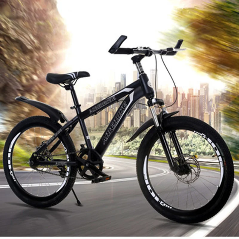 Adult Mountain Bike Single Speed Double Disc Brake Shock Absorber Student Mountain Bike 26 Inches