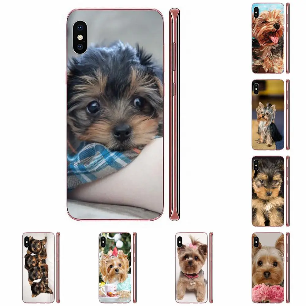 Yorkshire Terrier Dog Pet Puppy For Huawei Honor 5C 5X 6A 6X 7 7A 7X 8 8A 8S 8X 9 10 30 Lite Pro Y6 II Y7 Y9 Prime 2019 | Мобильные