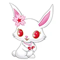 Merry Bunny Store